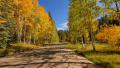 4K Driving through Foliage 01 Grand Canyon North Rim Aspen Forest Video