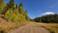 4K Driving through Foliage 03 Grand Canyon North Rim Aspen Forest Video