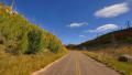 Driving through Foliage 07 Grand Canyon North Rim Aspen Forest Video