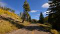 4K Driving through Foliage 08 Grand Canyon North Rim Aspen Forest Video