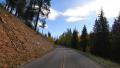 4K Driving through Foliage 09 Grand Canyon North Rim Aspen Forest Video