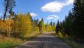 4K Driving through Foliage 10 Grand Canyon North Rim Aspen Forest Video