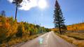 4K Driving through Foliage 11 Grand Canyon North Rim Aspen Forest Video
