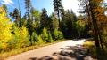 Driving through Foliage 15 Grand Canyon North Rim Aspen Forest Video
