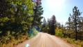 4K Driving through Foliage 16 Grand Canyon North Rim Aspen Forest Video
