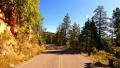 4K Driving through Foliage 18 Grand Canyon North Rim Aspen Forest Video
