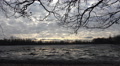 Crows at moory fish-pond without water in cold season Video