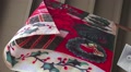 Christmas Flag Red And Green 01 HD Video