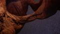 4K Arches Milkyway 01 Timelapse Taurids Meteor Shower Utah Rotate Video