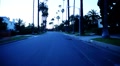 Driving Plates Beverly Hills Timelapse CAM1 Front 01 Residential Palm Trees S Video