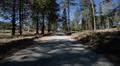 Driving Plates Forest Timelapse CAM1 Front 01 Angeles Crest Highway California Video