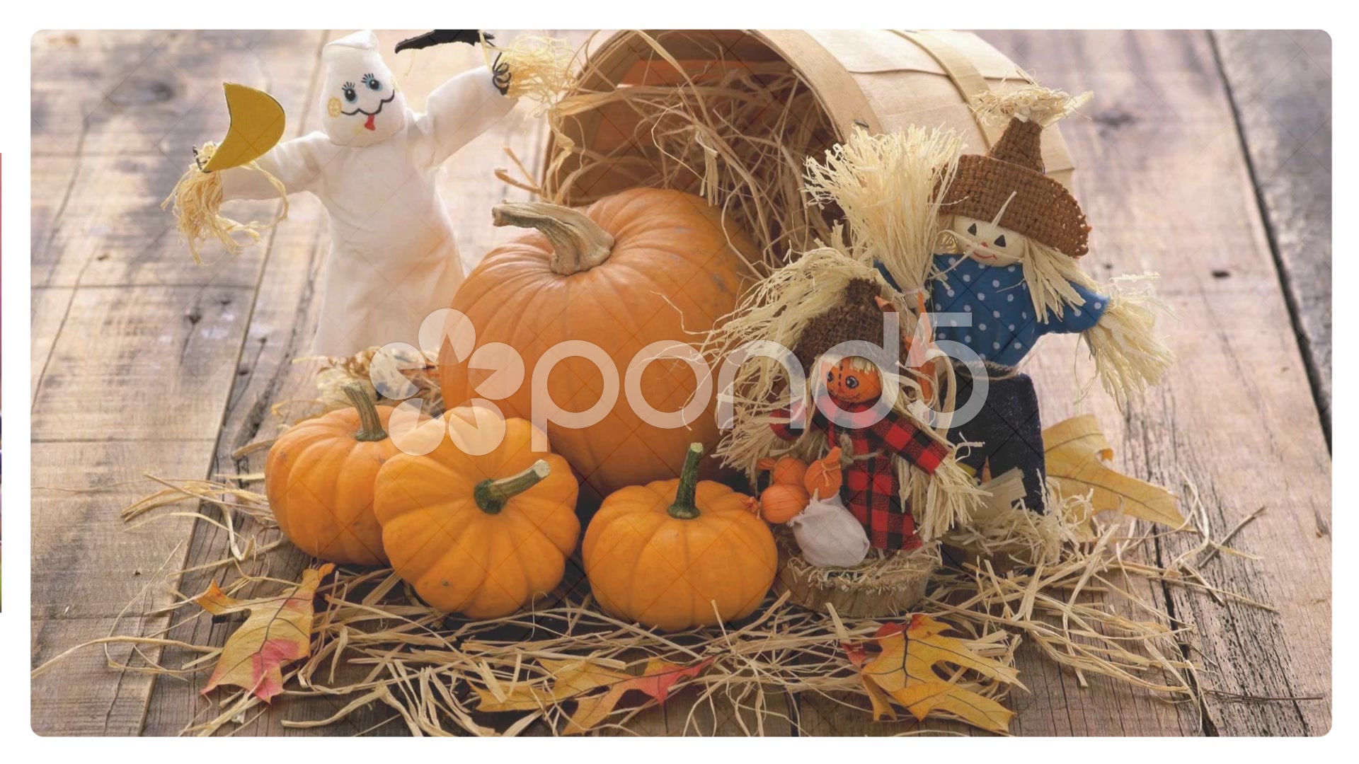 After Effects Project - Pond5 Simple dynamic slide show for your photos and video 45924801 After Effects Project - Pond5 Simple dynamic slide show for your photos and video 45924801