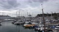 4k Timelapse Funchal harbor cruise ships and boats in Madeira Video