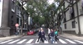 4k People crosswalk street with Jacaranda Trees Funchal city Video