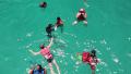 Snorkelers swimming in the sea Video