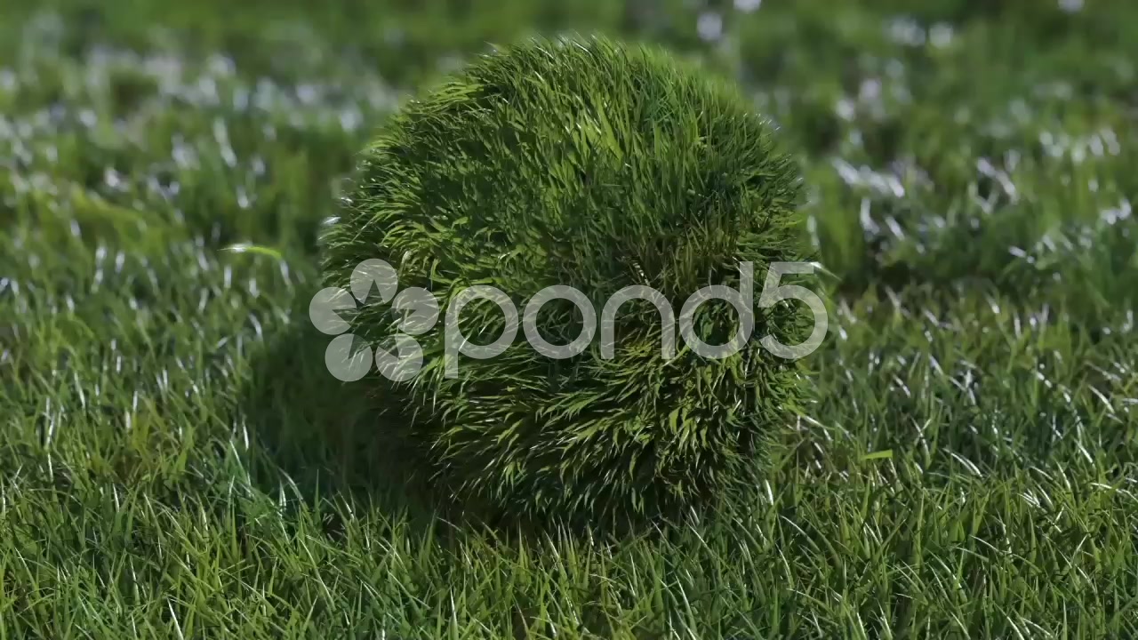 After Effects Project - Pond5 Bouncy Grass Ball Logo 48685499 After Effects Project - Pond5 Bouncy Grass Ball Logo 48685499