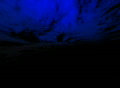 video clip 272825
