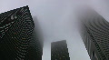 Misty skyscrapers. Footage