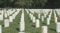 Florida National Cemetery Clip 7 Footage