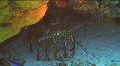 video clip 604303