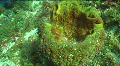 video clip 604387