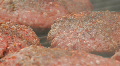 Hamburgers on Grill Zoom Out Footage