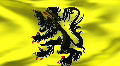 Textured FLANDERS cotton flag with wrinkles and seams Footage