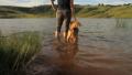 Woman in Water with Dog at Beautiful Lake GFHD Footage