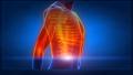 Human chest medical x-ray scan Footage