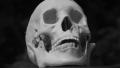 Rotating skull. Black and white. Footage
