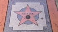 Puerto Rico - CHAYANNE Atist's Street Star V1 - International Singer Footage