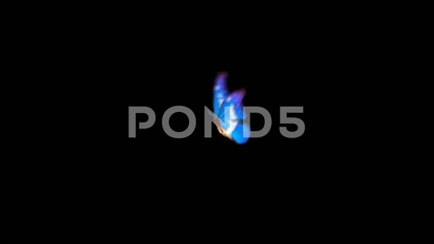 After Effects Project - Pond5 Butterfly Loop #8 Side View 7767331