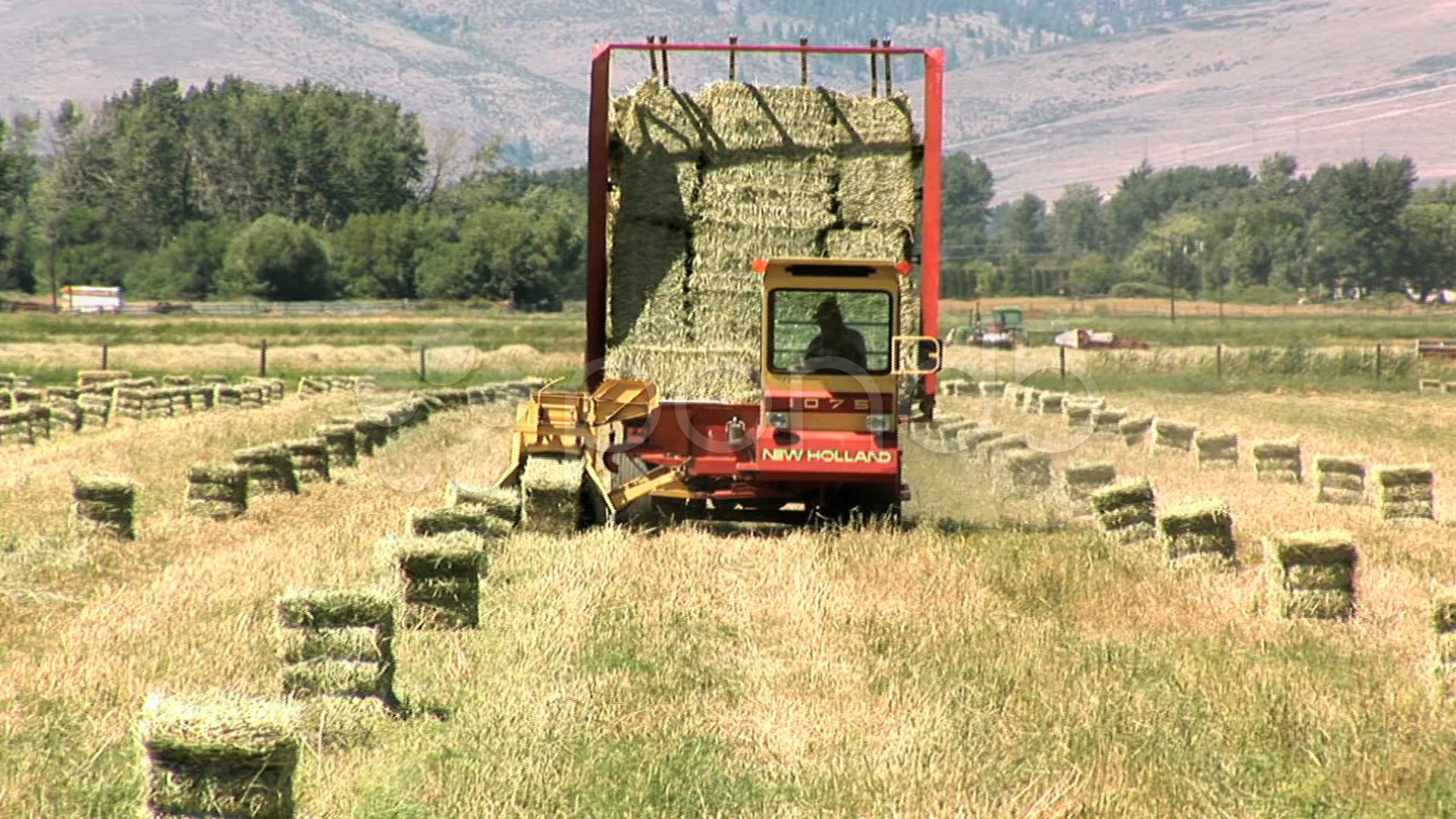 Process Of Harvesting Hay at Shirley Holt blog