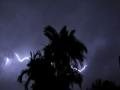 Thunderstorm-Lightning-Palm Trees 4x3 Footage