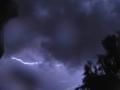 Tropical Jungle Storm Lightning 4x3 Footage