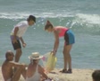 video clip 8839913