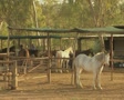 video clip 8849415