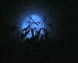video clip 8849543