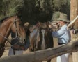 video clip 8849755