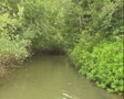 video clip 8850955