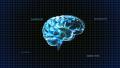 brain rotate with timecode Footage