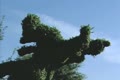 video clip 8913889