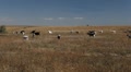 video clip 8961035