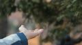 video clip 9616671