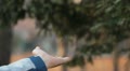 video clip 9618441