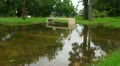 25p Hurricane Irene Aftermath-1 Footage