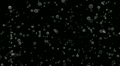 Bubbles on black background Footage