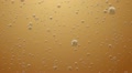Bubbles in Wine or Bear. Loop Footage