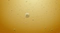 Bubbles in Wine or Bear Footage