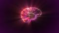 red brain rotate flare for medical concept Discount period Footage